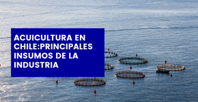 Acuicultura en chile-principales insumos de la industria